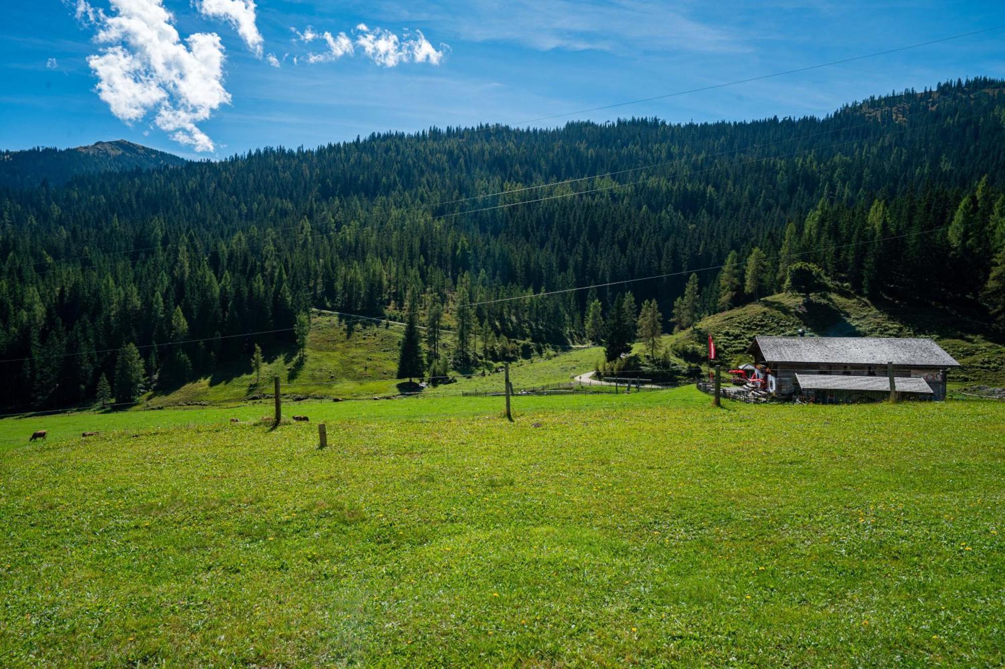 Mittereggalm Mühlbach Exterior foto